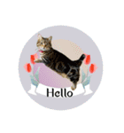 うーにーず（個別スタンプ：5）