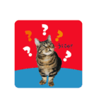 うーにーず（個別スタンプ：9）