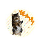 うーにーず（個別スタンプ：10）