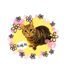うーにーず（個別スタンプ：14）