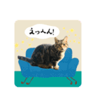うーにーず（個別スタンプ：15）
