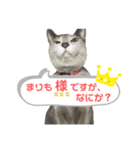 まりも・めかぶすたんぷ！4（個別スタンプ：13）