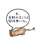 番犬マックの気持ちスタンプ（個別スタンプ：3）