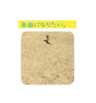 番犬マックの気持ちスタンプ（個別スタンプ：6）