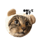 ちゃ！！！！（個別スタンプ：1）