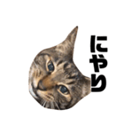 ちゃ！！！！（個別スタンプ：3）