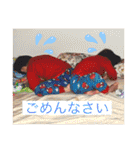 息子たちとラインスタンプ（個別スタンプ：10）