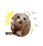 ちびちゃんちゃんまる（個別スタンプ：3）