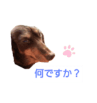 みお生活（個別スタンプ：1）