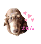 みお生活（個別スタンプ：2）