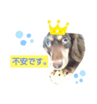 みお生活（個別スタンプ：3）