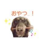 みお生活（個別スタンプ：4）