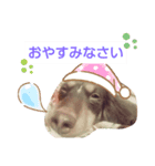みお生活（個別スタンプ：6）
