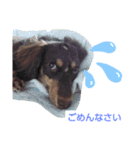 みお生活（個別スタンプ：7）