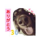 みお生活（個別スタンプ：8）