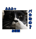 健ちゃんとマイちゃん 会話編（個別スタンプ：5）