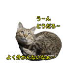 健ちゃんとマイちゃん 会話編（個別スタンプ：9）