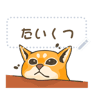 柴の子猫（個別スタンプ：2）