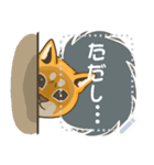 柴の子猫（個別スタンプ：9）