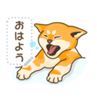 柴の子猫（個別スタンプ：15）