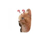 めいからの一言（個別スタンプ：2）
