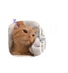 めいからの一言（個別スタンプ：3）