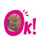 めいからの一言（個別スタンプ：4）