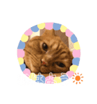 めいからの一言（個別スタンプ：6）