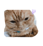 めいからの一言（個別スタンプ：8）