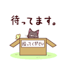 三白眼ネコ2（個別スタンプ：15）