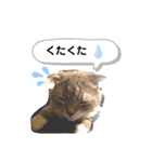 ねこのれいちゃん（個別スタンプ：14）