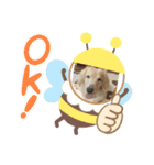 こたろう です！（個別スタンプ：13）