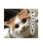 おべべスタンプ（個別スタンプ：1）