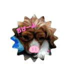 はろ〜〜キャバッppy（個別スタンプ：3）