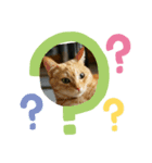otopyのねこさん（個別スタンプ：2）