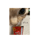 otopyのねこさん（個別スタンプ：3）