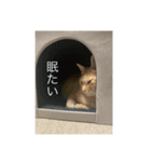 otopyのねこさん（個別スタンプ：7）