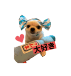 めちゃカワゆずさん（個別スタンプ：4）