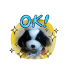 了解！挨拶（個別スタンプ：4）