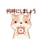 まんまるコーギー 【敬語編】（個別スタンプ：34）