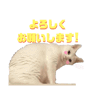 ミィ子ちゃん（個別スタンプ：4）