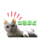 ミィ子ちゃん（個別スタンプ：5）