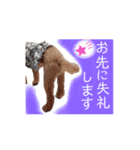 ポロ＆モカちゃん part2★敬語MIX（個別スタンプ：19）