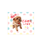 ポロ＆モカちゃん part2★敬語MIX（個別スタンプ：21）