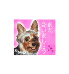 ポロ＆モカちゃん part2★敬語MIX（個別スタンプ：24）