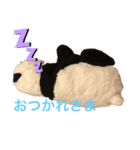 可愛いパンダのぬいぐるみ❗（個別スタンプ：2）