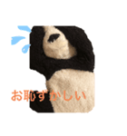 可愛いパンダのぬいぐるみ❗（個別スタンプ：8）
