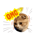 めたんこ猫好き、はるたん！（個別スタンプ：4）