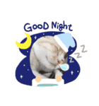 めたんこ猫好き、はるたん！（個別スタンプ：9）