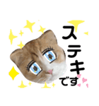 めたんこ猫好き、はるたん！（個別スタンプ：10）